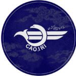 سخنگوی سازمان هواپیمایی کشوری: پروازهای مسافری در کشور به مسیر جایگزین هدایت شد/ 10 مهر 1403