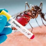 هشدار وزارت بهداشت به مسافران کشورهای عربی که علایم تب دنگی دارند/ 10 خرداد 1403