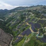 چین با عبور از مرز ۱ تراوات برق خورشیدی، رکورد جهانی انرژی‌های تجدیدپذیر را شکست