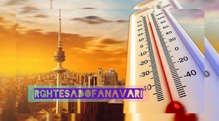 IMG_20250803_103536_768