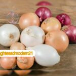 صادرات پیاز دزفول به خارج از کشور