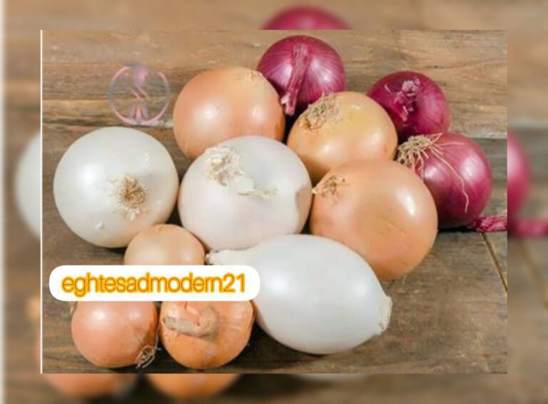 InShot_۲۰۲۳۰۷۱۷_۰۸۰۲۵۱۶۱۹