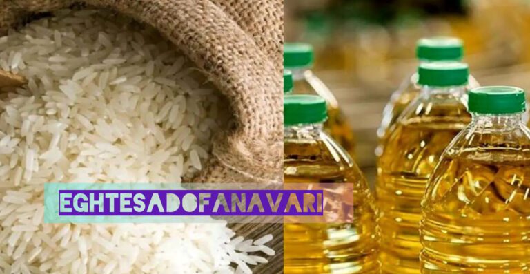 InShot_۲۰۲۵۰۷۲۱_۲۰۴۱۳۵۵۷۹