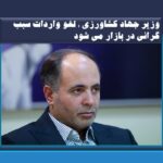 وزیر جهاد کشاورزی : لغو واردات سبب گرانی در بازار می شود