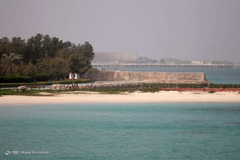 d8a2d8b2d8a7d8afd8b3d8a7d8b2db8c-d8add8afd988d8af-dbb8dbb0-d8afd8b1d8b5d8af-d8b3d988d8a7d8add984-d8a7d8b3d8aad8a7d986-d8a8d988d8b4d987_621f0092ae6c5