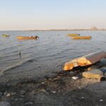 آزادسازی سواحل جنوب همچنان ادامه دارد