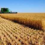 آغاز به کار کارگروه تنظیم بازار در وزارت جهاد کشاورزی