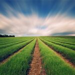 احتمال بارش در ۲ هفته آینده کم است/ کشاورزان هشدارها را جدی بگیرند