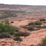 ایران سالانه ۱۶ میلیون تن فرسایش خاک دارد