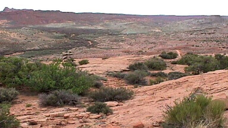 d8a7db8cd8b1d8a7d986-d8b3d8a7d984d8a7d986d987-dbb1dbb6-d985db8cd984db8cd988d986-d8aad986-d981d8b1d8b3d8a7db8cd8b4-d8aed8a7daa9-d8afd8a7_622362149c850