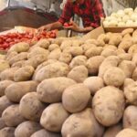 بازار سیب زمینی تا قبل از عید متعادل می شود