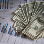 تخصیص ارز مسافرتی تغییر می کند؟