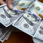 تفاوت قیمت ارز در صرافی و بازار آزاد/ سوء استفاده دلالان از کارت ملی افراد نا آگاه