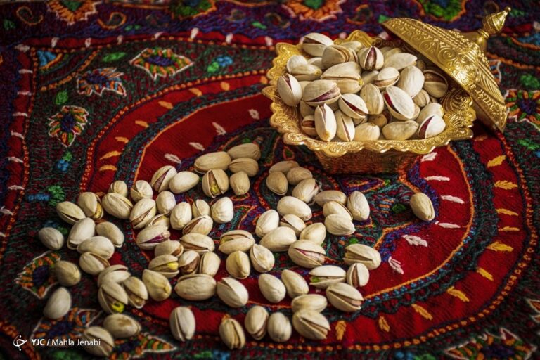 d8aad986d987d8a7-db8cdaa9-d987d8b2d8a7d8b1d985-d9bed8b3d8aad987-daa9d8b4d988d8b1-d8afd8b1-d8a8d988d8b1d8b3-daa9d8a7d984d8a7-d8b9d8b1d8b6_621f6ec5a6c49