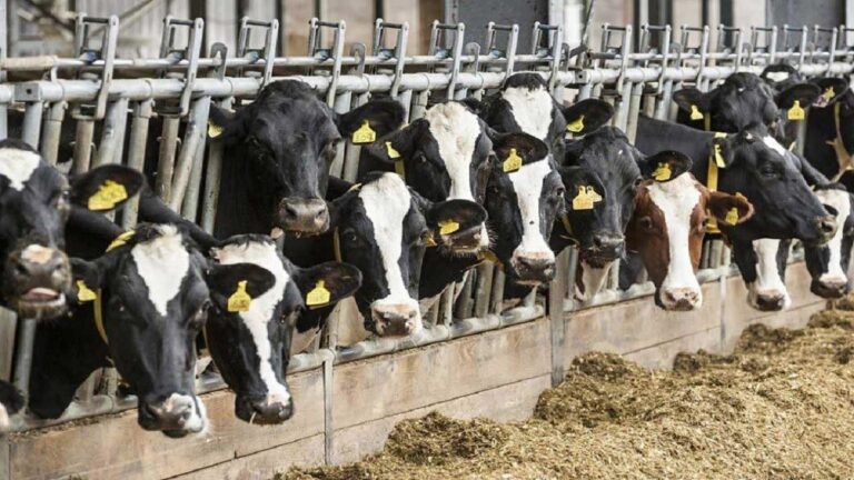 d8aad988d8b2db8cd8b9-d8b9d8a7d8afd984d8a7d986d987-d8a7d8b1d8b2-d8b1d8a7d987db8c-d8a8d8b1d8a7db8c-d9bed8a7db8cd8a7d986-d8afd8a7d8afd986_6220cc7ad2039