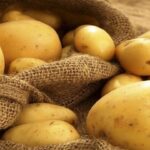 تولید سیب زمینی به ۵.۵ میلیون تن رسید/ ۶۰۰ هزار تن سیب زمینی در انبار‌ها موجود است