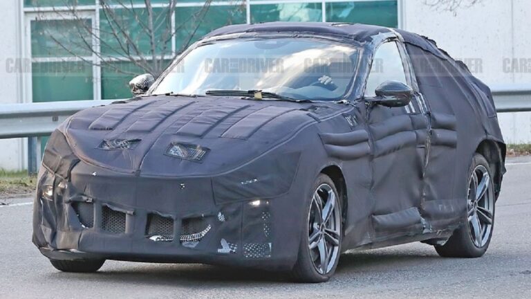 d8aad988d984db8cd8af-d8b4d8a7d8b3db8c-d8a8d984d986d8af-d981d8b1d8a7d8b1db8c-purosangue-d8a8d8b1d8a7db8c-d8b3d8a7d984-dbb2dbb0dbb2dbb2-d8aa_6220c70af1fe6