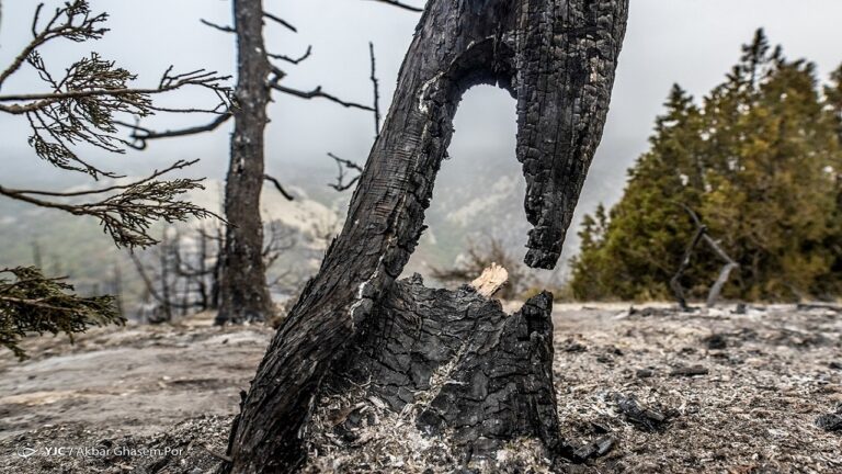 d8add8b1db8cd982-d8afd8b1-d8b1d988db8cd8b4daafd8a7d987d987d8a7-dbb4dbb6-d8afd8b1d8b5d8af-daa9d8a7d987d8b4-db8cd8a7d981d8aa_6226056fc348d