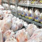 خرید حمایتی مرغ متوقف است