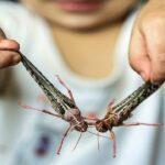 ردیابی و پایش ۱۵ میلیون هکتار علیه ملخ صحرایی