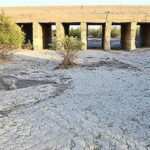 رهاسازی آب هیرمند الزامی است