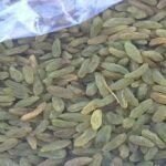 زمردهایی که راهی بورس کالا شدند