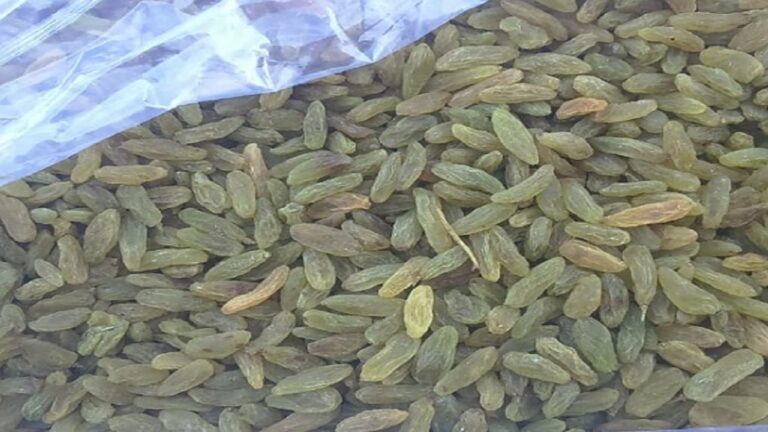 d8b2d985d8b1d8afd987d8a7db8cdb8c-daa9d987-d8b1d8a7d987db8c-d8a8d988d8b1d8b3-daa9d8a7d984d8a7-d8b4d8afd986d8af_623f114e26f70