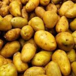 سهمیه صادرات سیب زمینی تکمیل شد