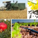 صادرات ۸۴ هزار و ۳۰۰ میلیارد تومانی محصولات کشاورزی در ۸ ماه ابتدای سال