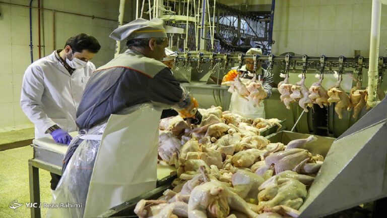 d8b5d8afd988d8b1-d985d8acd988d8b2-db8cdaa9-d988d8a7d8add8af-d985d8b1d8bad8afd8a7d8b1db8c-daa9d987-dbb1dbb3-d8b3d8a7d984-d8b7d988d984_621f00c6309c6