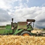 ضرورت کاهش کشت محصولات آب‌بر