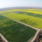 طرح ۵۵۰ هزار هکتاری احیای دشت‌های خوزستان ۵ سال آینده به اتمام می‌رسد