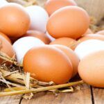 عرضه هر عدد تخم مرغ با نرخ ۲ هزار تومان گرانفروشی است