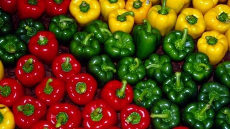 d981d984d981d984-d8afd984d985d987d8a7db8c-d8a7db8cd8b1d8a7d986-d8a8d8a7-d8a8d8b1daafd987-d8a2d986d8a7d984db8cd8b2-d8a8d987-d8b1_6222110d8e2b2