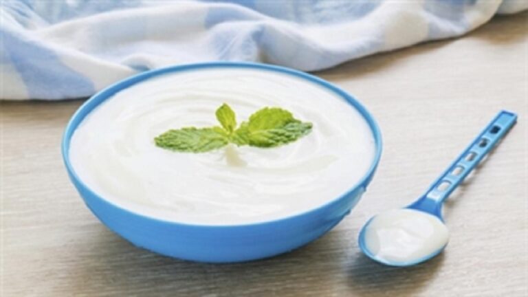 d982db8cd985d8aa-d8a7d986d988d8a7d8b9-d985d8a7d8b3d8aa-d8afd8b1-d8a8d8a7d8b2d8a7d8b1_62596f1e6c04a