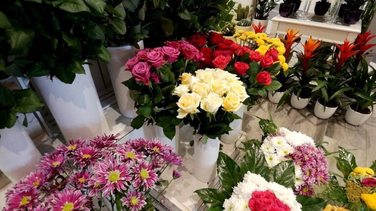 d982db8cd985d8aa-daafd984-d988-d8b4db8cd8b1db8cd986db8c-d8afd8b1-d8b1d988d8b2-d985d8a7d8afd8b1-d8a7d8b9d984d8a7d985-d8b4d8af_6220cbb0f3791