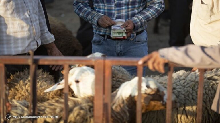 d985d8acd988d8b2-d8b5d8a7d8afd8b1d8a7d8aa-d8afd8a7d985-d8afd8b1-d8a2d8a8d8a7d986d88c-d985db8cd8b2d8a7d986-d982d8a7da86d8a7d982-d8b1d8a7_621f01280a2a6