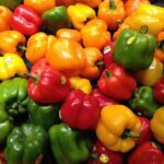 محصولات کشاورزی ایرانی آلوده به سموم نیست