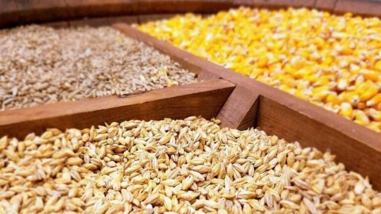 d985d8b4daa9d984db8c-d8afd8b1-d8aad8a7d985db8cd986-d986d987d8a7d8afd987d987d8a7db8c-d8afd8a7d985db8c-d8aad8a7-d9bed8a7db8cd8a7_6220cfa2a3807