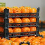 نوسان قیمت اقلام میوه و صیفی در بازار/ علت گرانی برخی اقلام‌ چیست؟