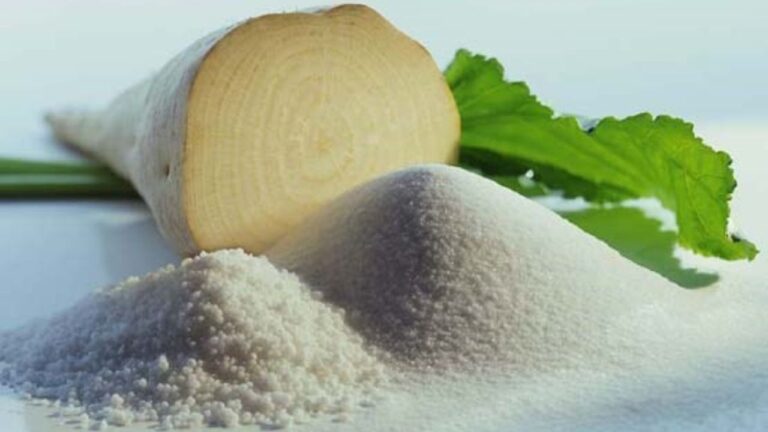 d986db8cd8a7d8b2db8c-d8a8d987-d988d8a7d8b1d8afd8a7d8aa-d8b4daa9d8b1-d8aad8a7-d9bed8a7db8cd8a7d986-d8b3d8a7d984-d986d8afd8a7d8b1_6220d08a79796