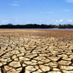 نیمی از دشت های کشور ممنوعه هستند