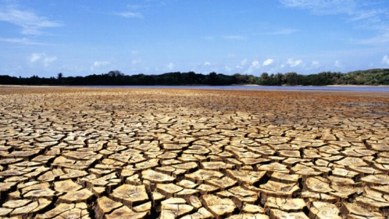 d986db8cd985db8c-d8a7d8b2-d8afd8b4d8aa-d987d8a7db8c-daa9d8b4d988d8b1-d985d985d986d988d8b9d987-d987d8b3d8aad986d8af_621f6cee323c0