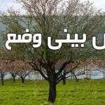 هرمزگان ۷۹ درصد بیش از نرمال بارش دریافت کرد