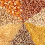 واردات نهاده های دامی ۱۱ درصد افزایش یافت