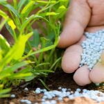 واردات کود به کمتر از ۱۵ درصد رسید