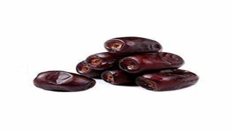 da86d8b1d8a7-d8aed8b1d985d8a7-d8afd8b1-d8a8d988d8b1d8b3-daa9d8a7d984d8a7-d986d985d8a7d986d8afd89f_6220c55532b87