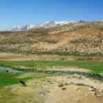 کارشکنی اداره منابع طبیعی برای صدور مجوز تاسیس نیروگاه خورشیدی