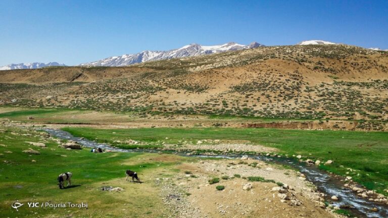 daa9d8a7d8b1d8b4daa9d986db8c-d8a7d8afd8a7d8b1d987-d985d986d8a7d8a8d8b9-d8b7d8a8db8cd8b9db8c-d8a8d8b1d8a7db8c-d8b5d8afd988d8b1-d985d8ac_6224b76b1d800