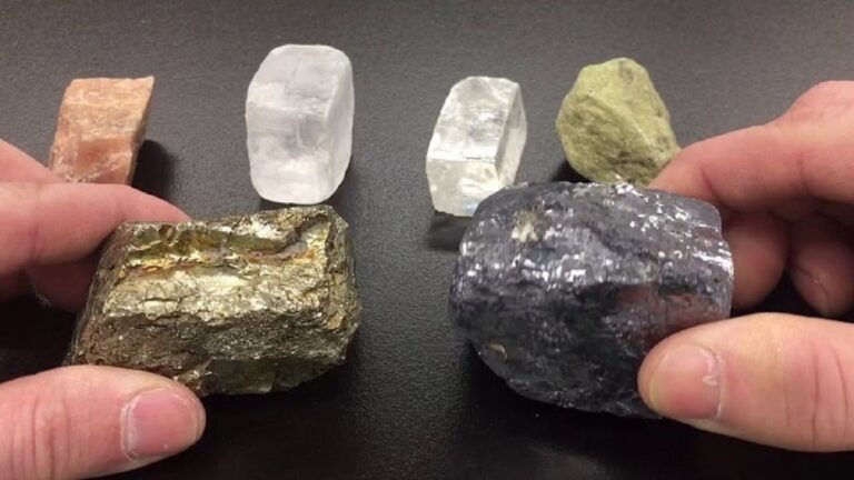 daa9d8a7d986db8cd987d8a7db8c-d8badb8cd8b1d981d984d8b2db8c-d8a2d985d8a7d8afd987-d8b1d8b4d8af-d8a8d8b9d8af-d8a7d8b2-d8b1db8cd8b2_62499d486535a